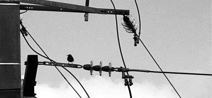 votre photo votre photo