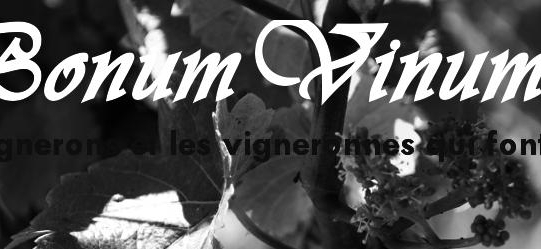 votre photo votre photo