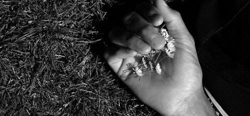 votre photo votre photo