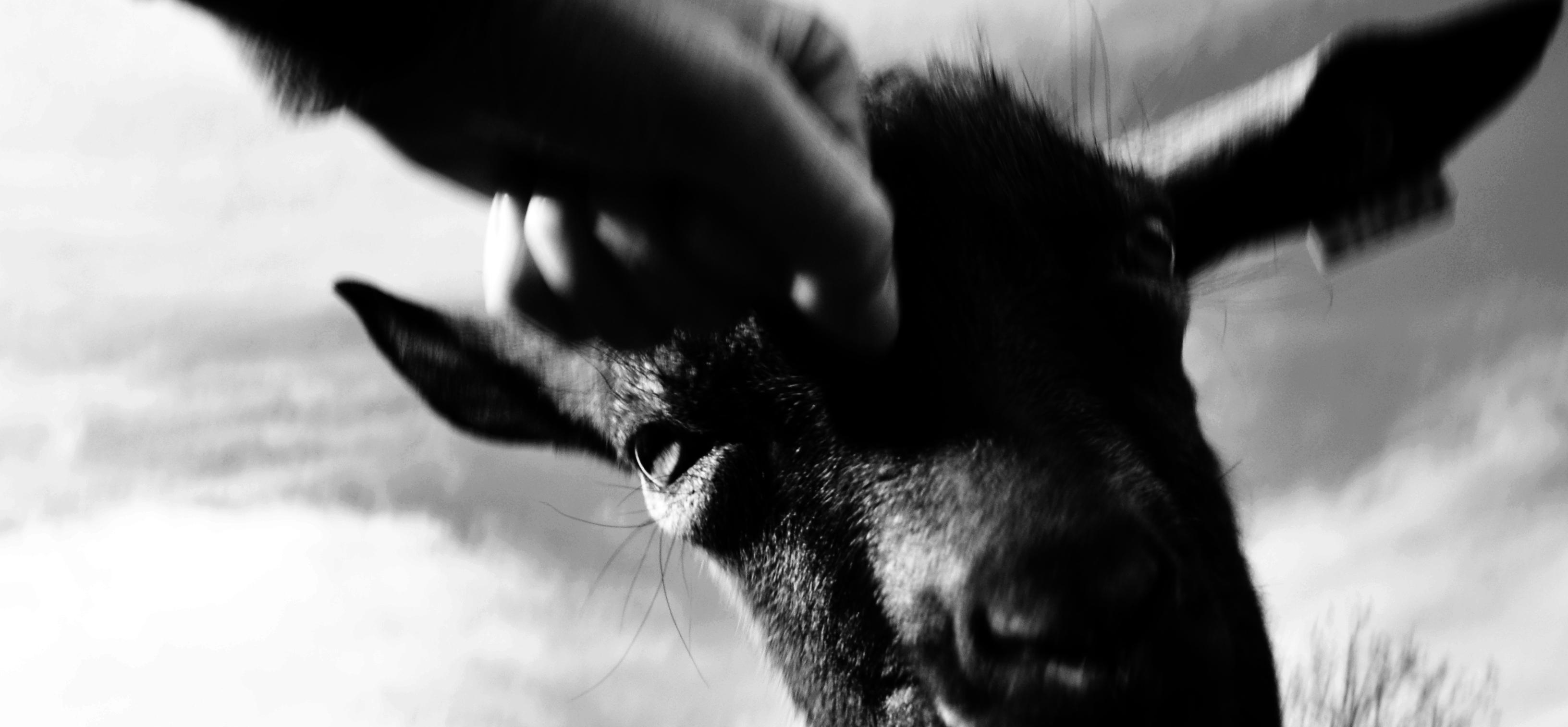 votre photo votre photo