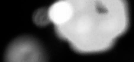 votre photo votre photo