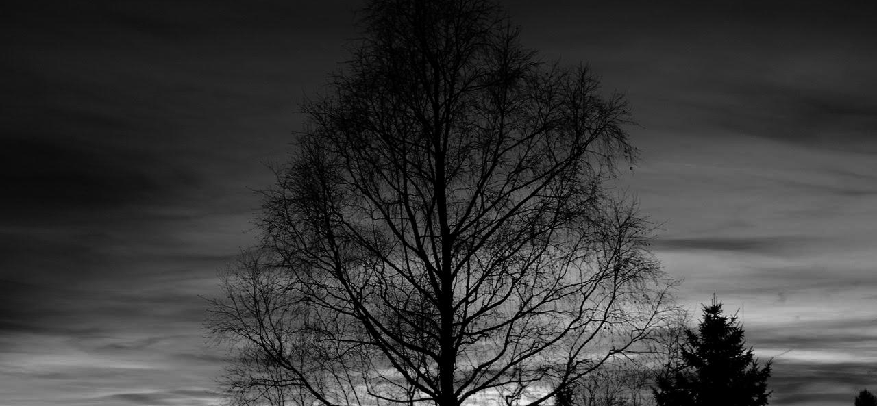 votre photo votre photo