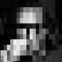 votre avatar votre avatar