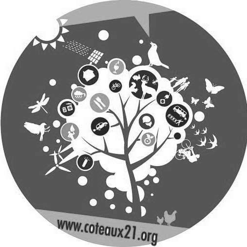 votre avatar votre avatar