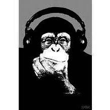 votre avatar votre avatar