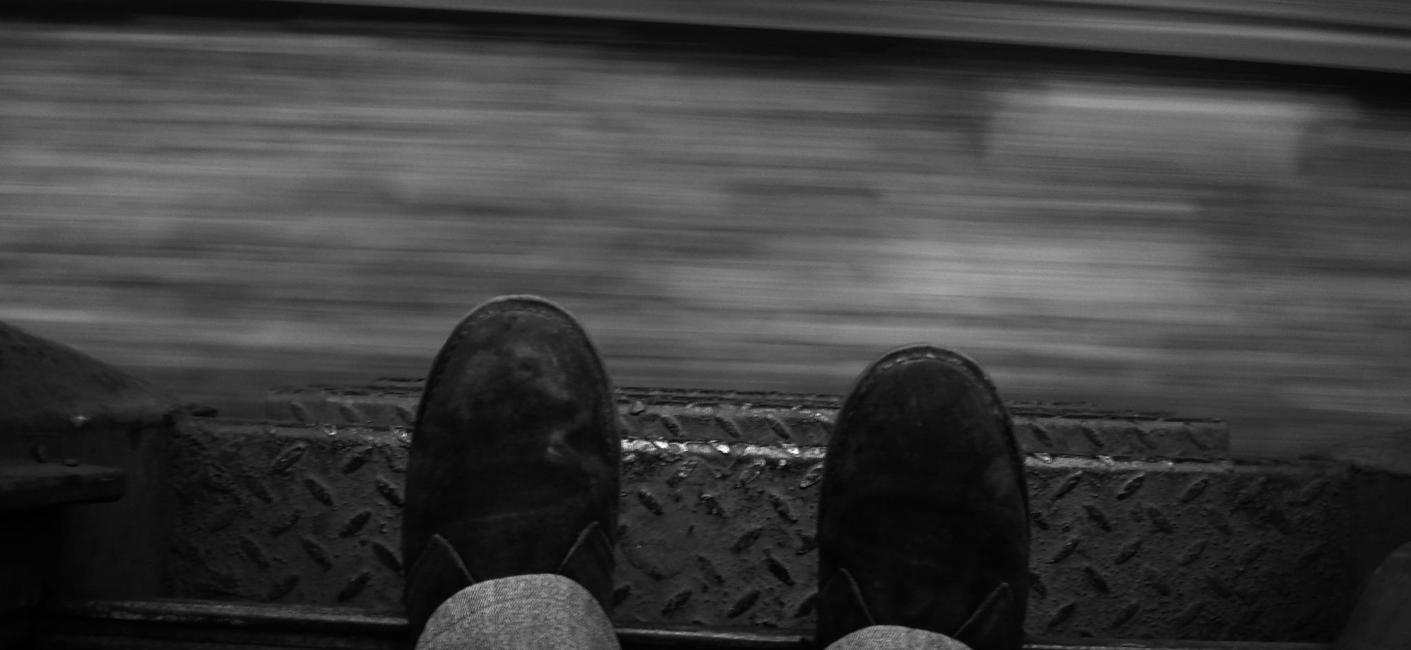 Francois_Emmanuel_Fodere