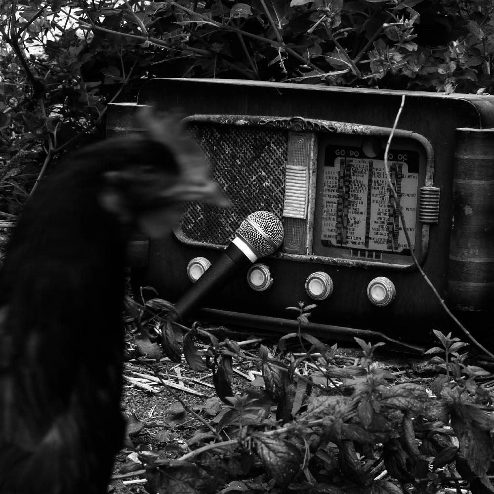 les  ondes  vagabondes