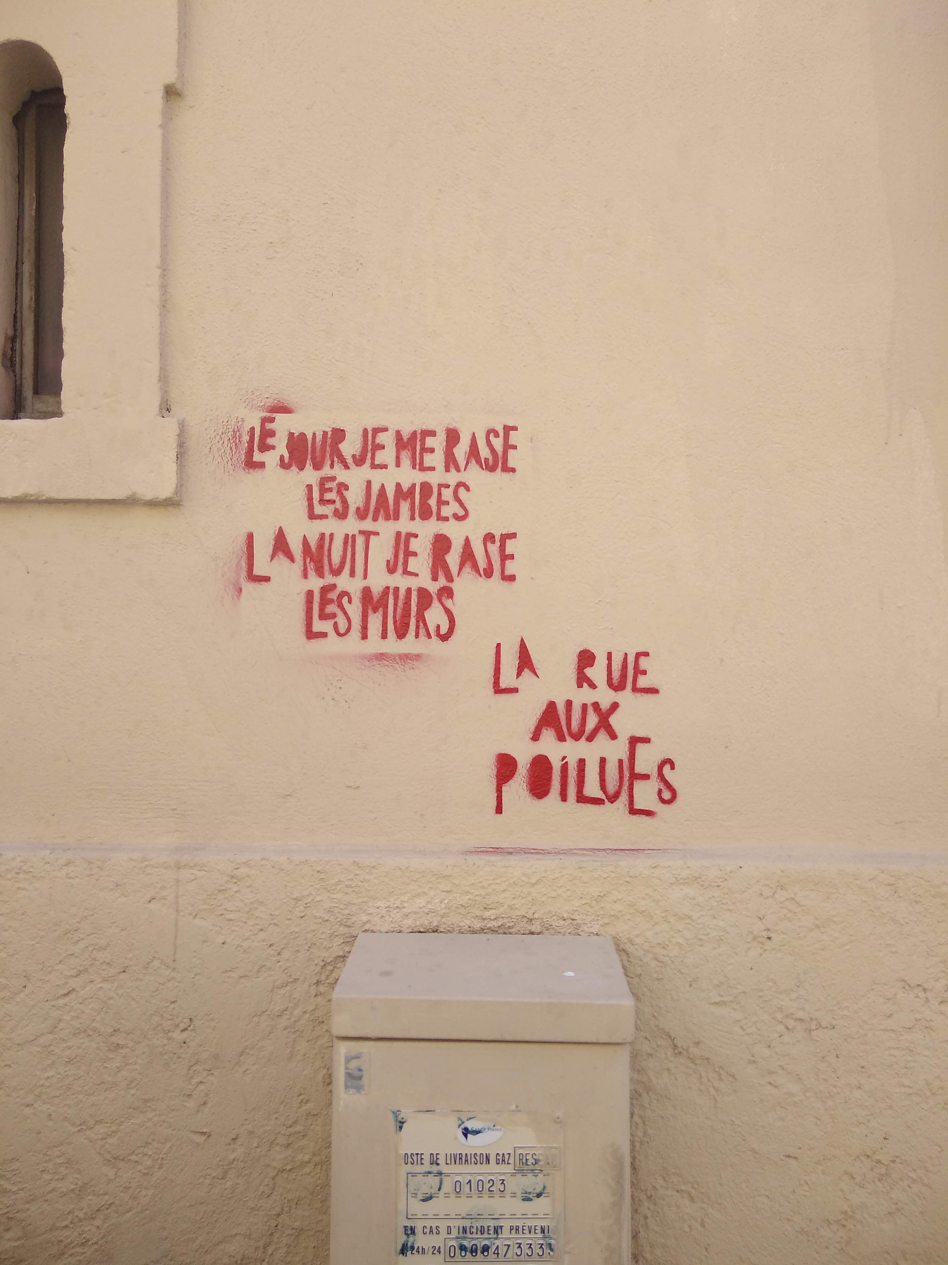 Mes rêves nocturnes et diurnes