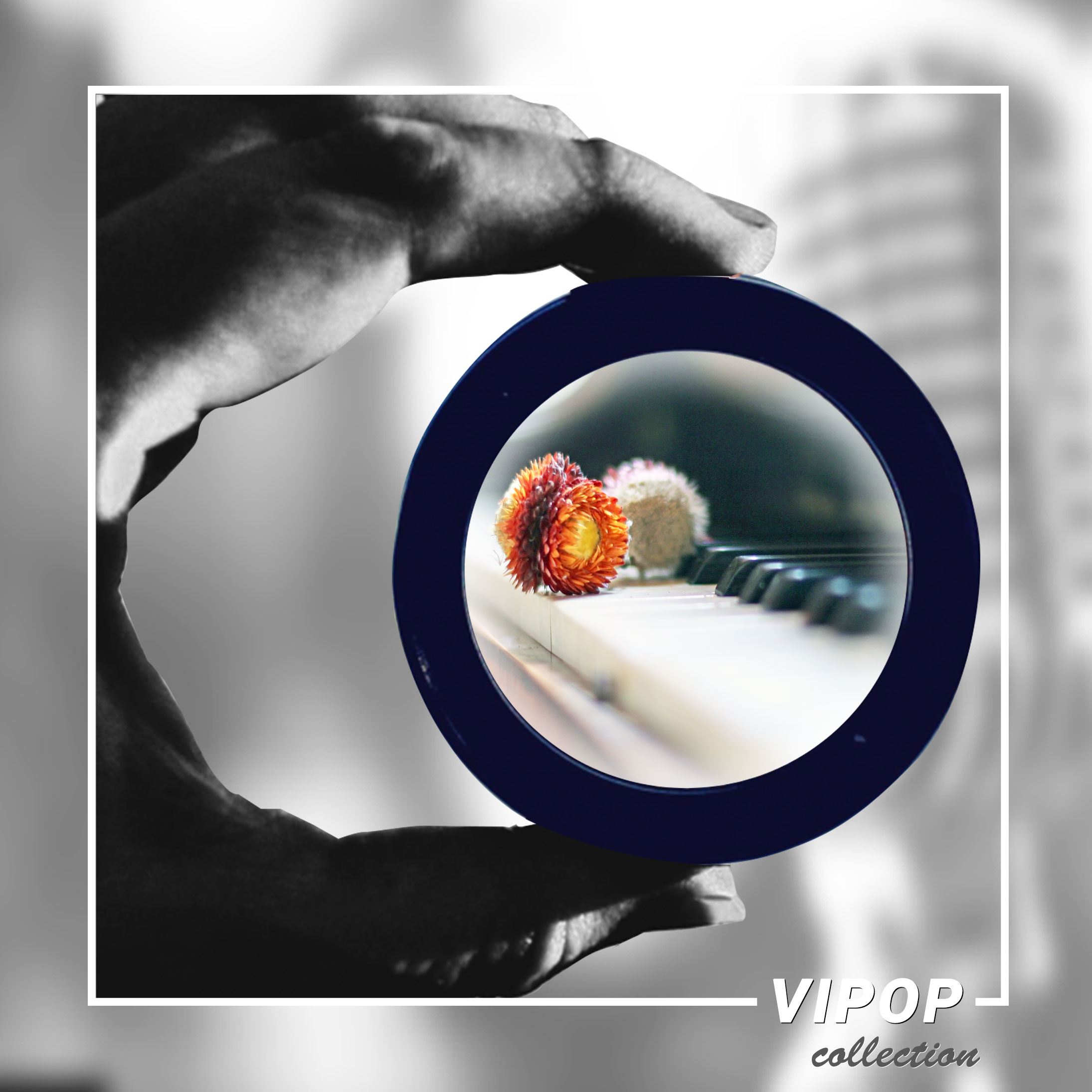 VIPop