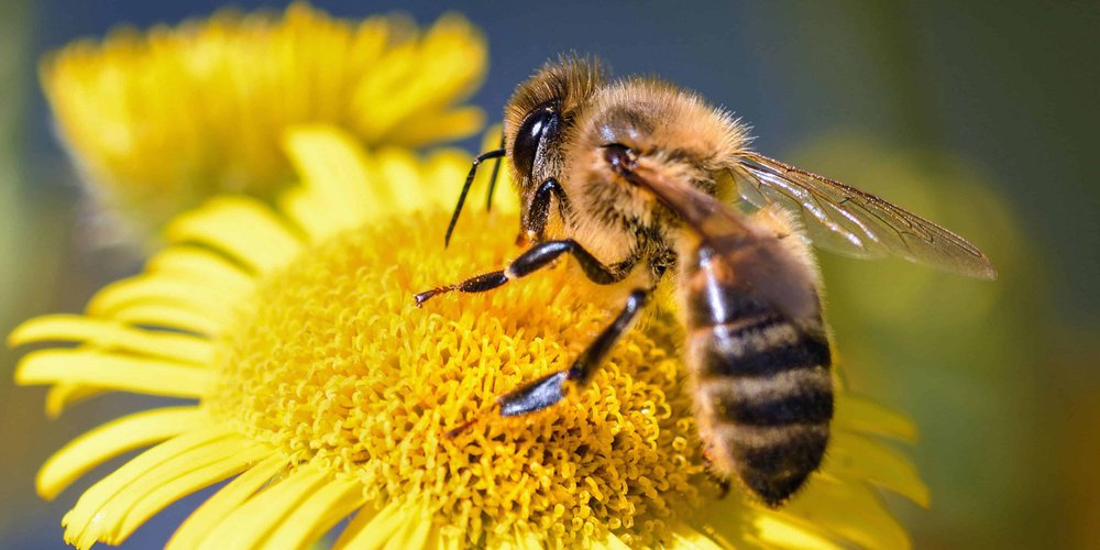 Les mal aimés (2) episode artwork