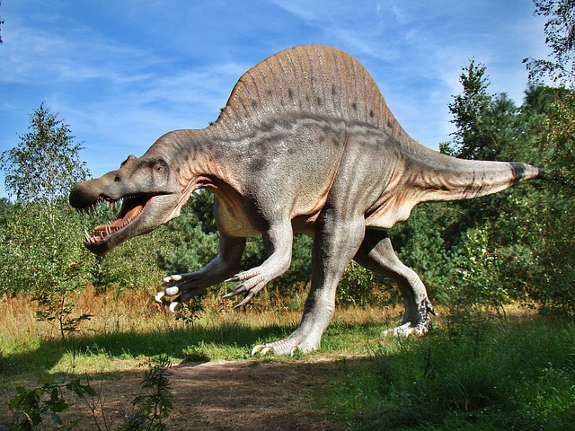 Les dinosaures - CM - Evan, Hanaé et Florent - 2023/2024 episode artwork