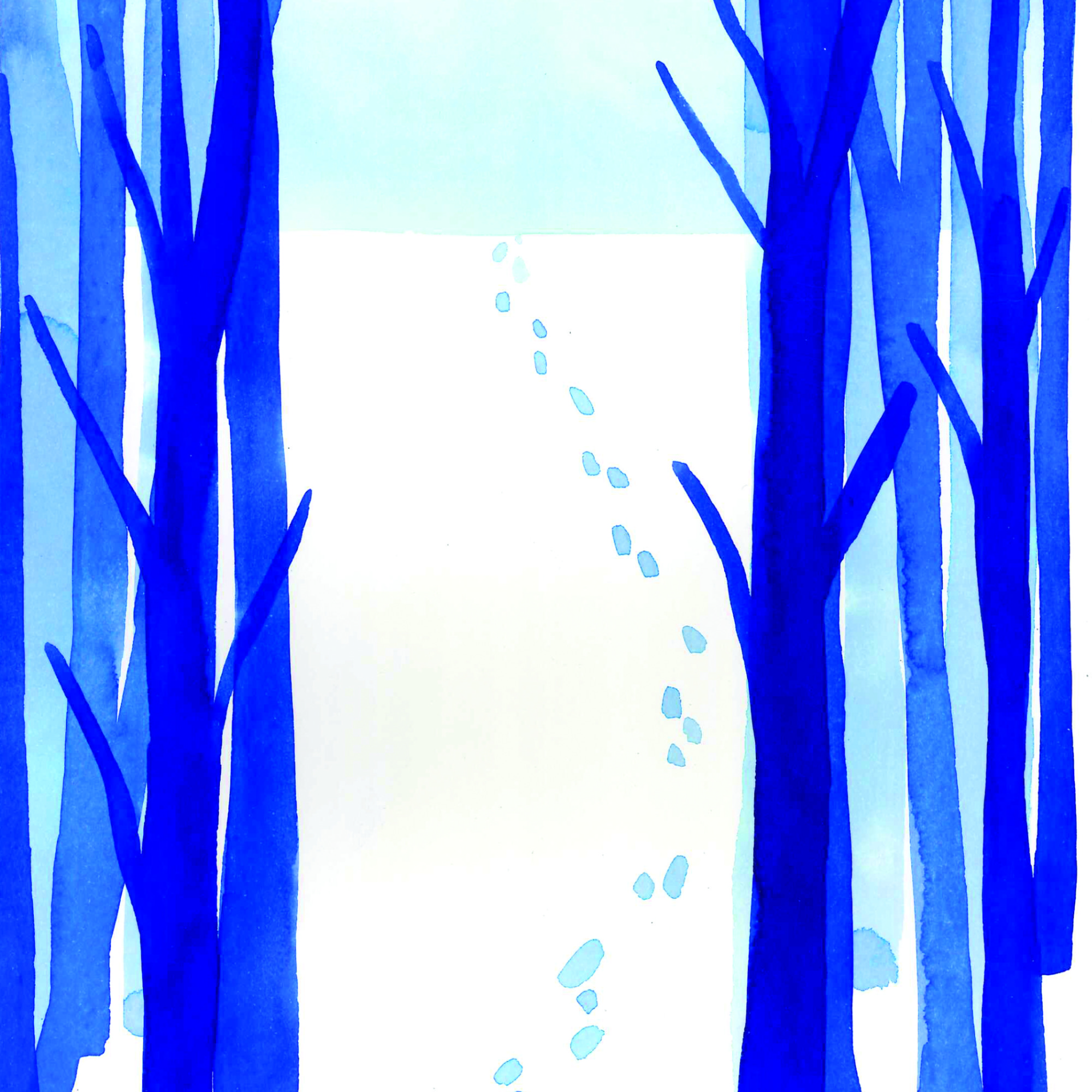 Litt\'orales - audioblog de Julien Bucci