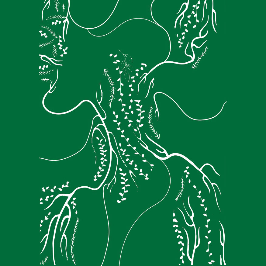 Litt\'orales - audioblog de Julien Bucci