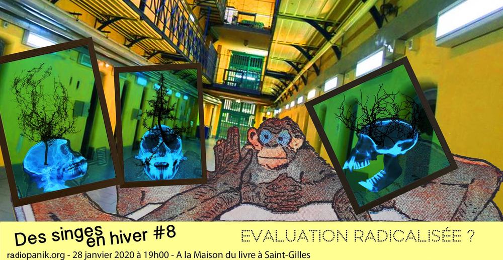 Des Singes en Hiver