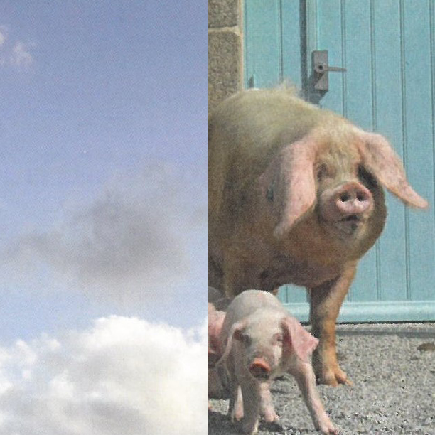 dites-nous, l\'amour, c\'est quoi ?