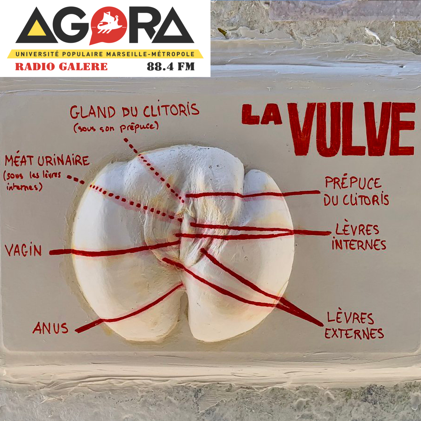 Regards sur le corps des femmes - Emission du 13-07-2020