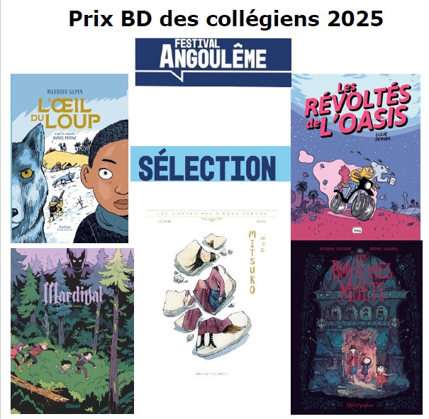 Les 4 pipelettes vous parlent du Prix BD des collèges 2024-2025 episode artwork