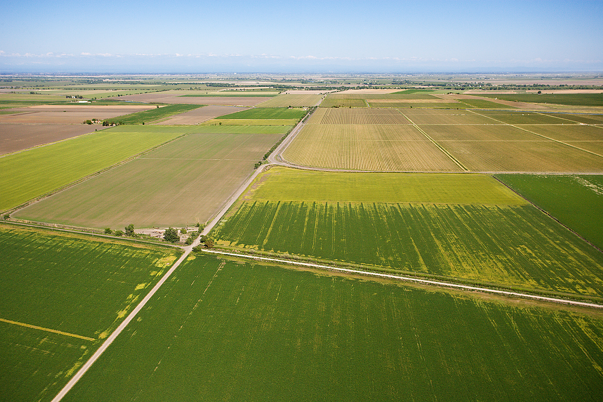 Les cours sonores de Madame Authier