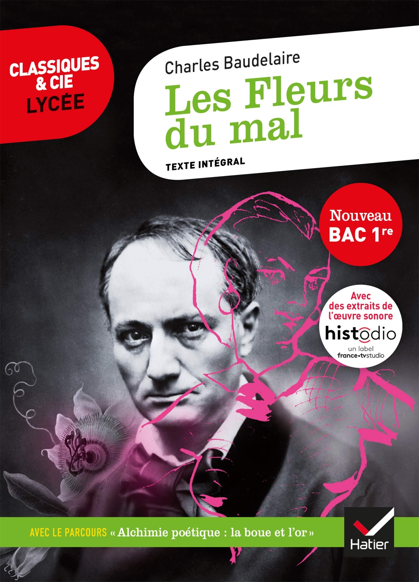 Comment Baudelaire Transforme La Boue En Or