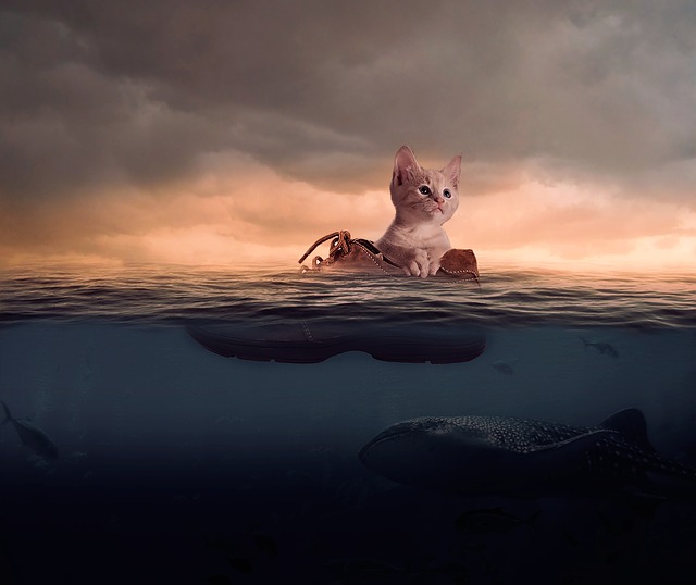 Charles Perrault Contes 1697 Le Maître Chat ou le Chat Botté Charles Perrault Contes 1697 Le Maître Chat ou le Chat Botté