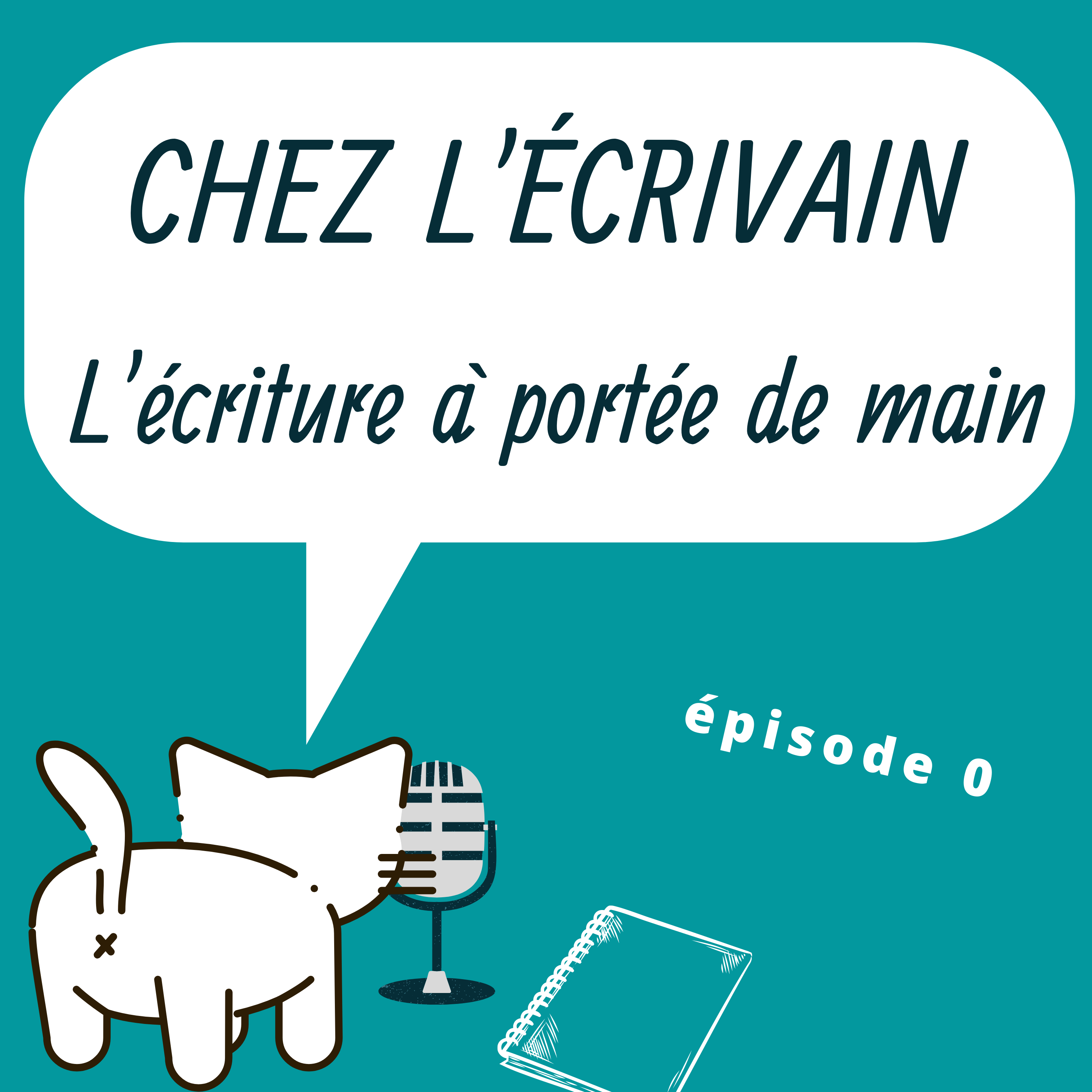Chez l\'écrivain