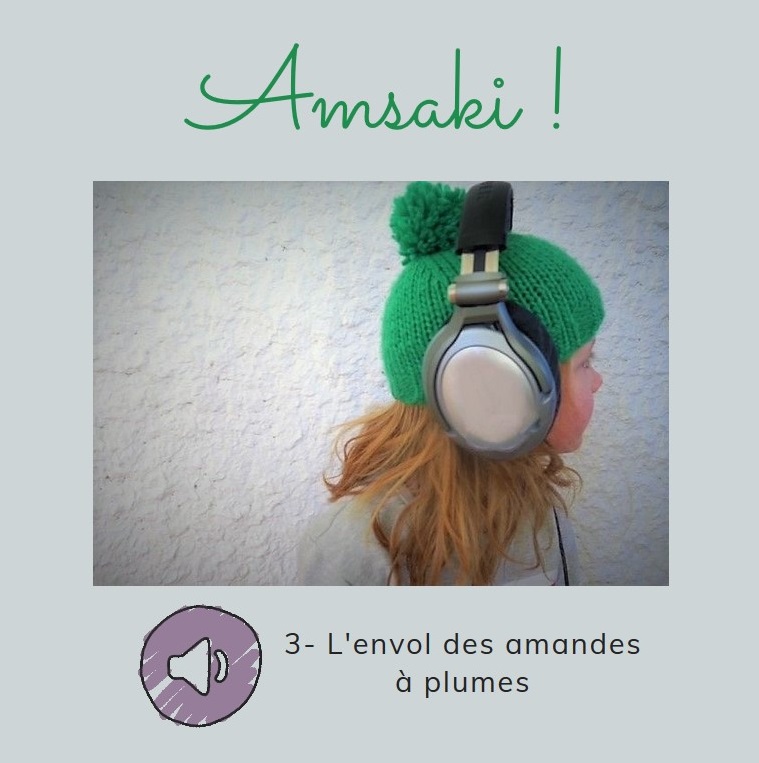 Troisième aventure  : l'envol des amandes à plumes episode artwork