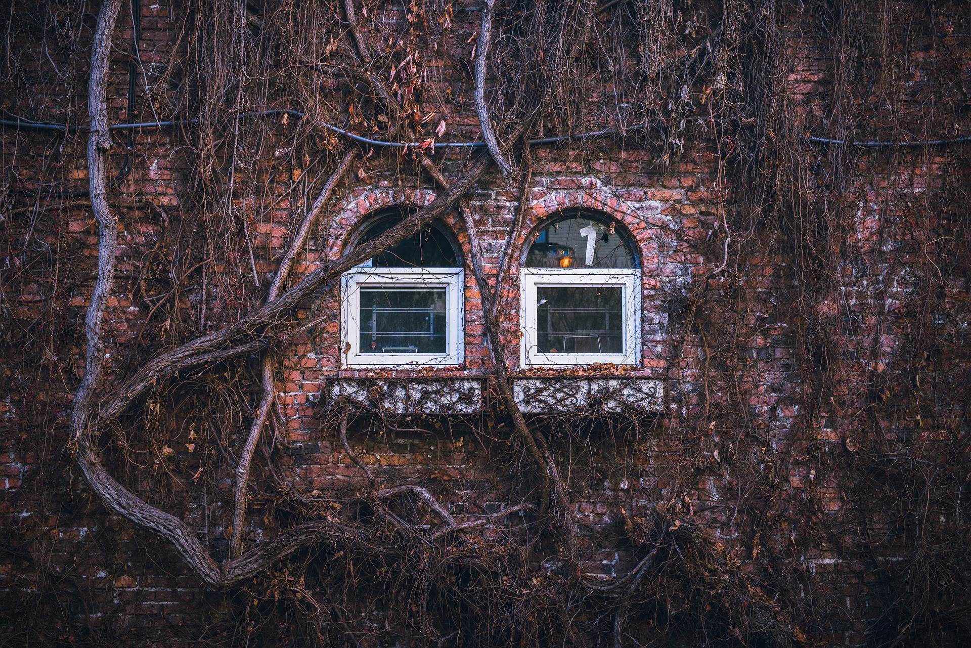 La bibliothèque à la maison