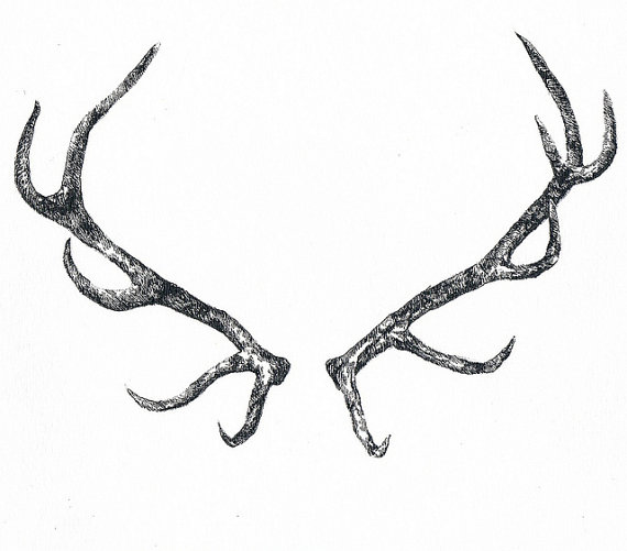#28 - à l'oreille des montagnes - collectages et création musicale pyrénéenne episode artwork