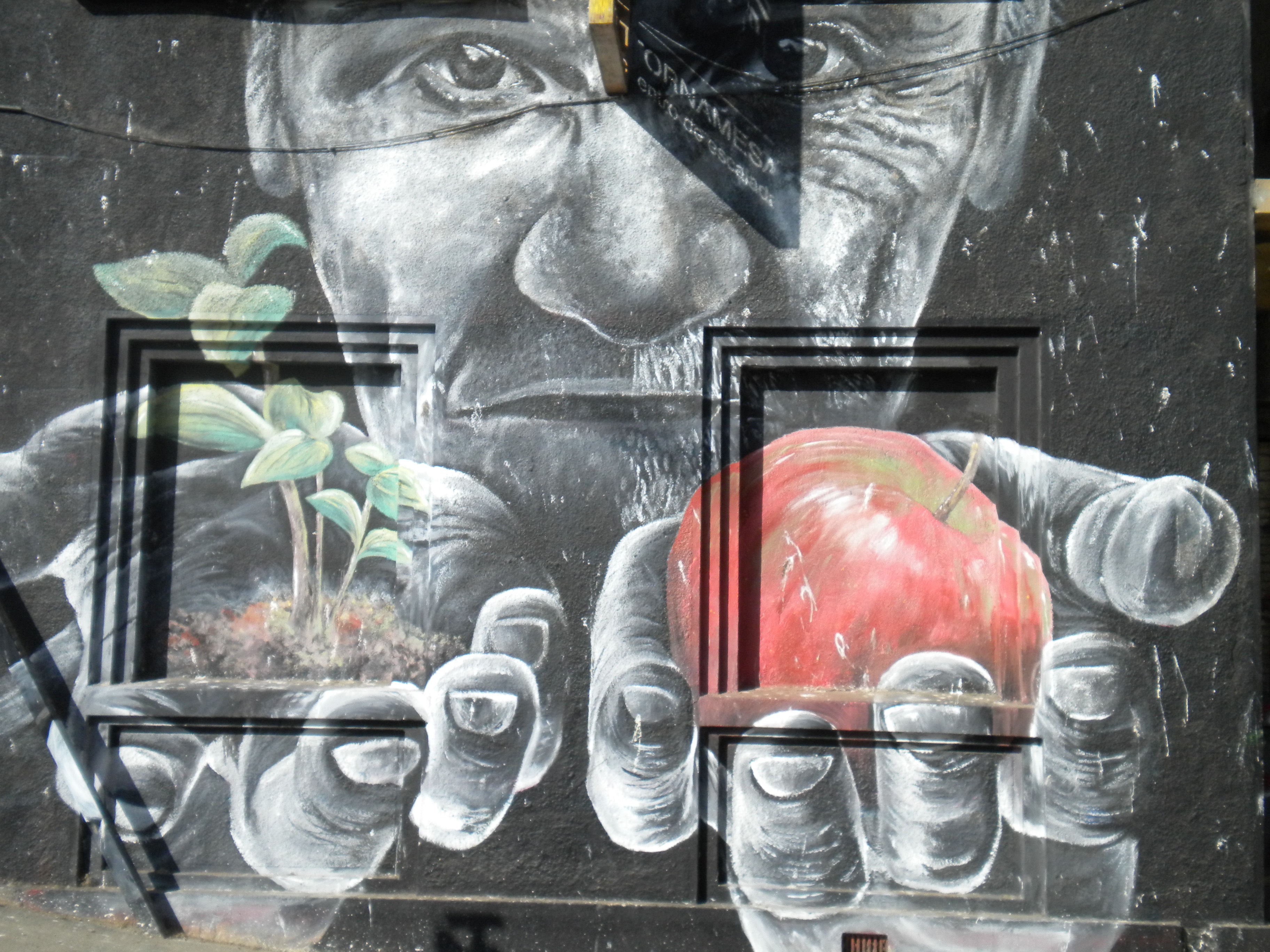 Saison I: EP 10 - Paysannerie indienne et Lutte Haïtienne