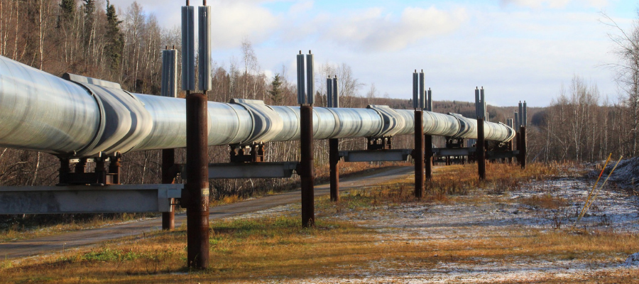 Saison II ::: Episode 4 - Ouganda: Faire face au cauchemar écocidaire de Total