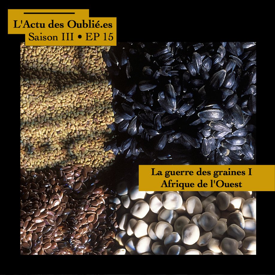 Saison III • Episode 15 • La guerre des graines I Afrique de l'Ouest