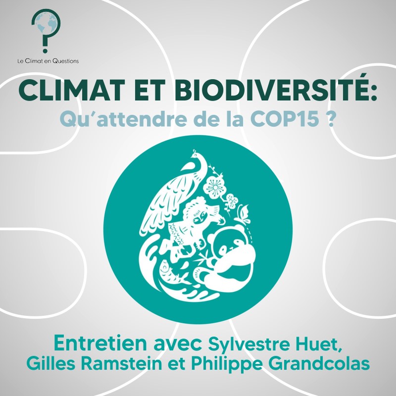 #38 : Climat et biodiversité : qu’attendre de la COP15 ? avec Philippe Grandcolas