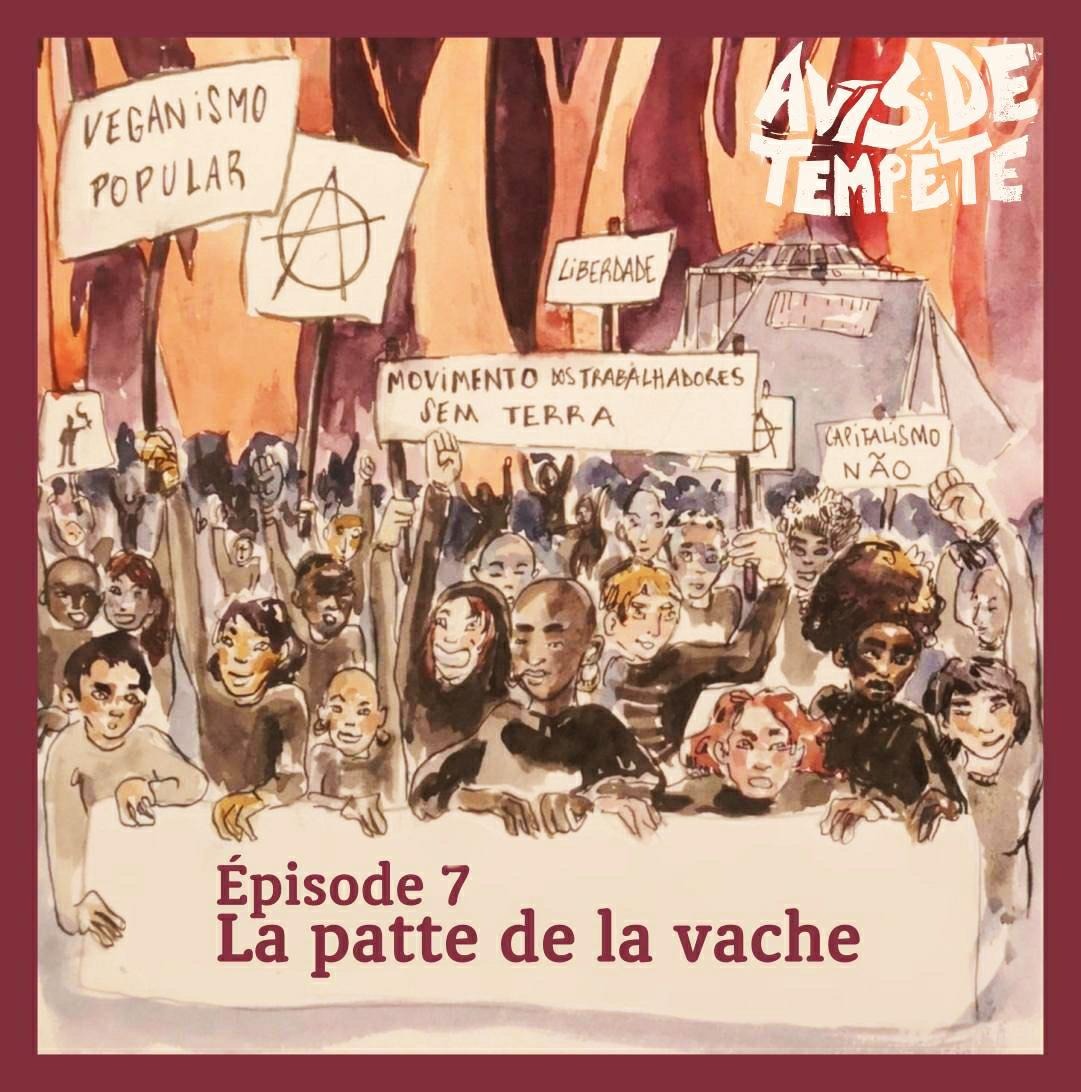 Avis de Tempête
