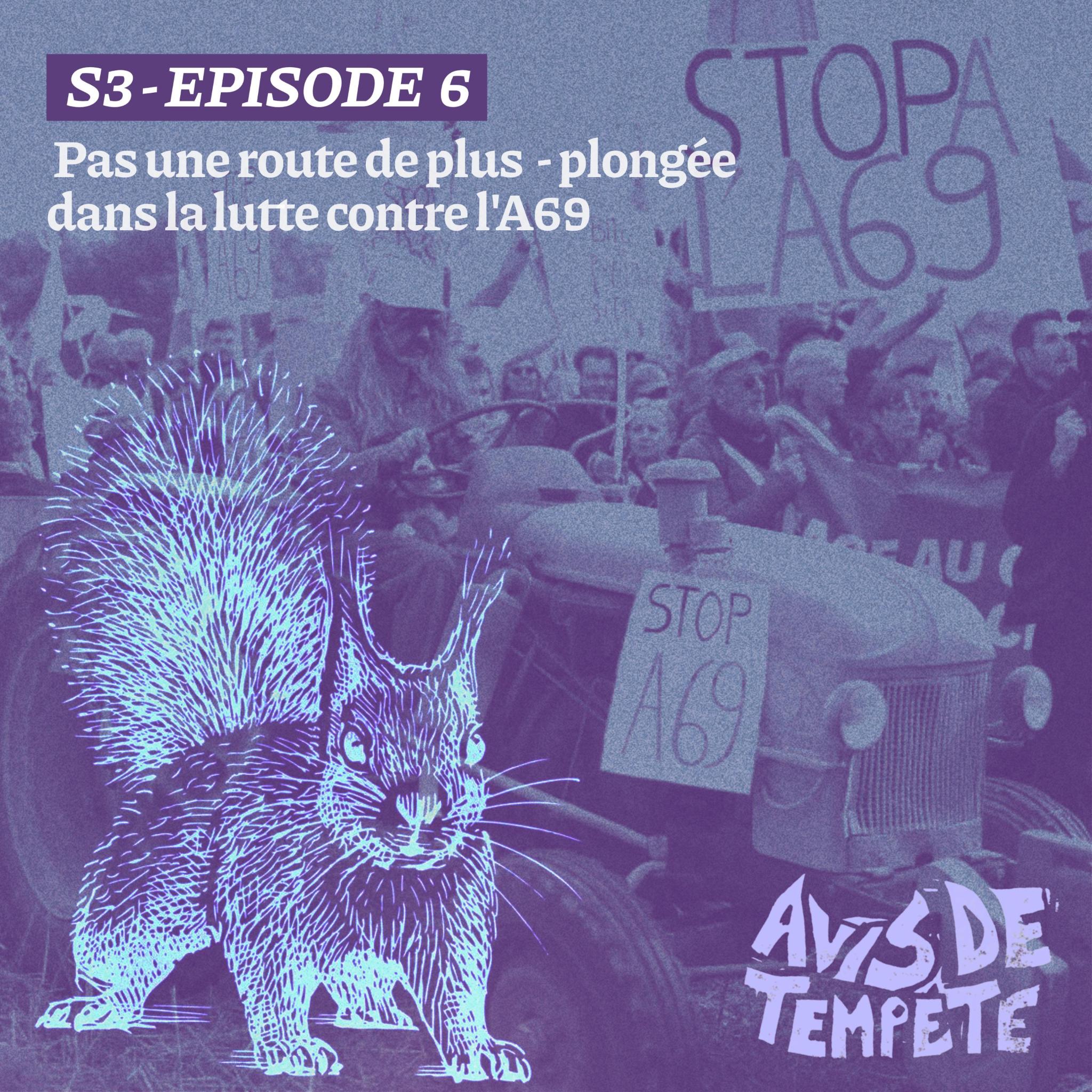 Avis de Tempête