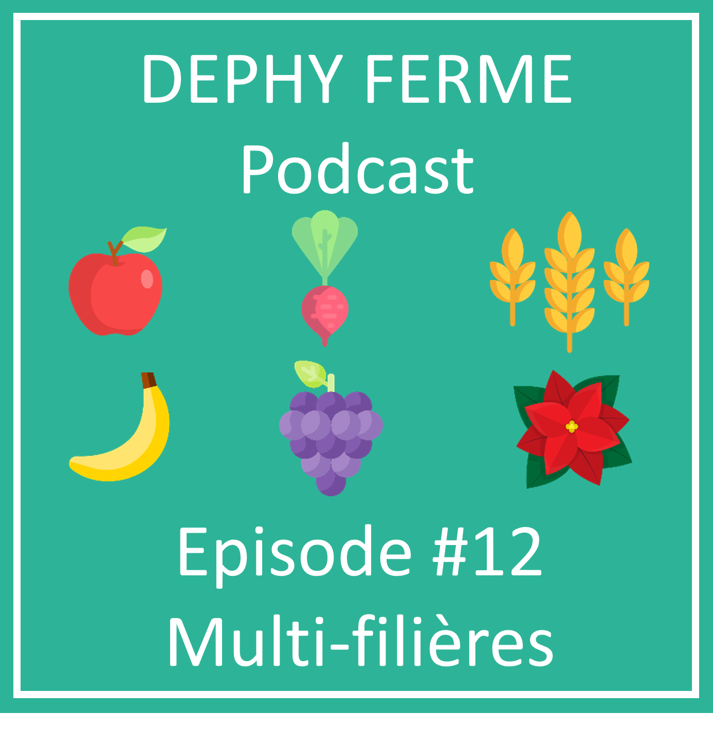 Dephy Audioblog | Ep. #12 Multi-filières – les principaux résultats du réseau ...