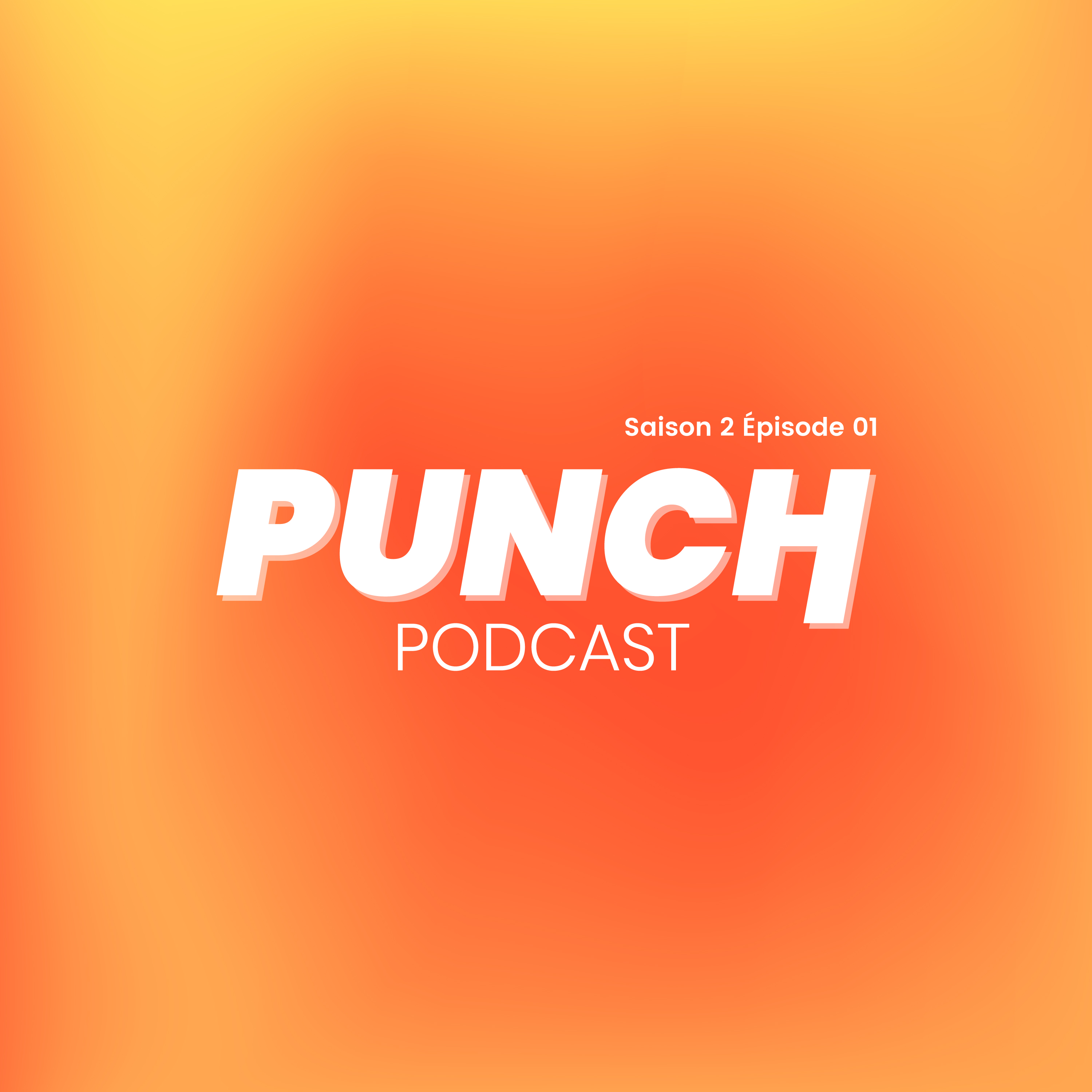 Punch Sa 2 Ep 1 | Internet, entre construction des communs et machine à rumeurs | Hervé Le Crosnier episode artwork