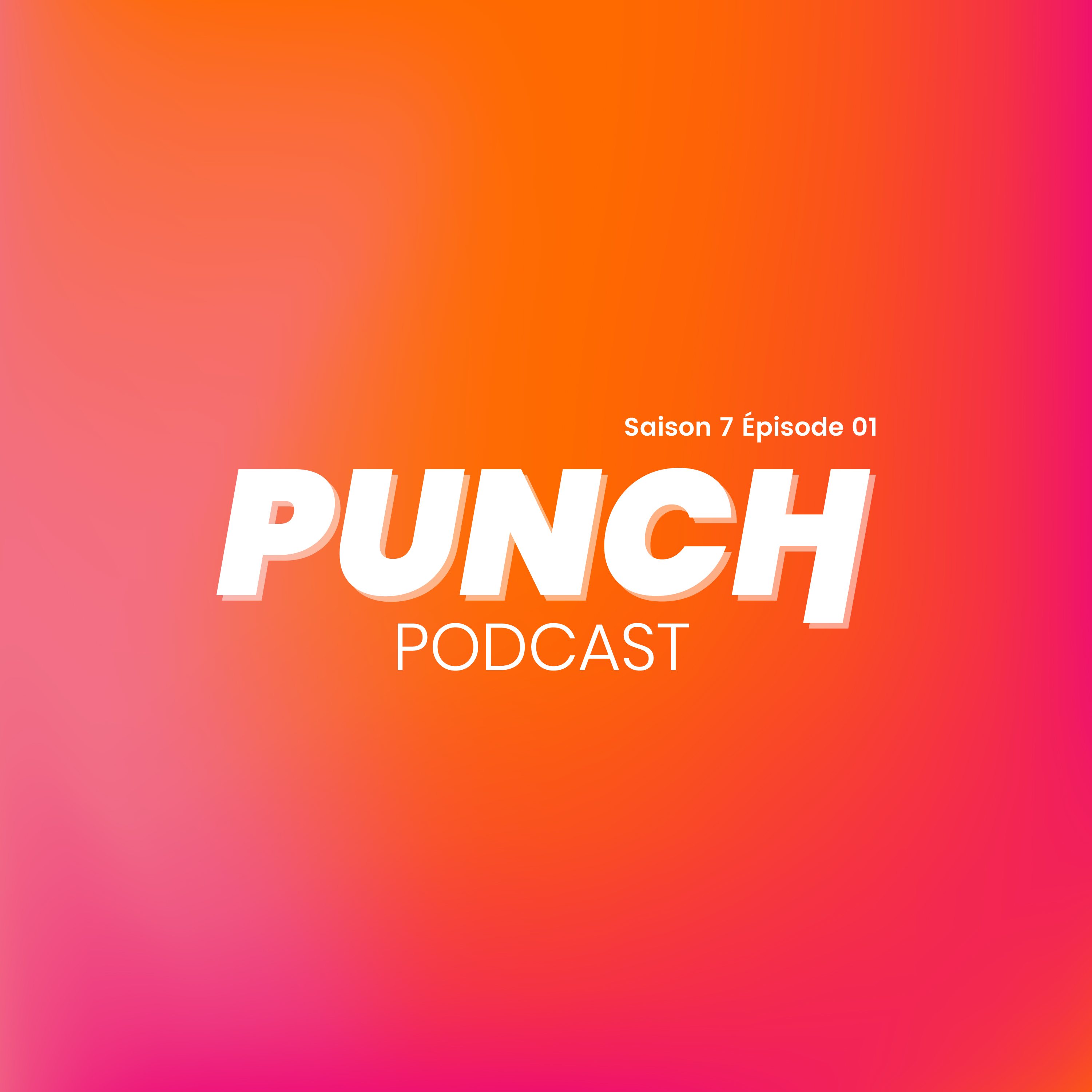 PUNCH, « Pour Un Numérique Critique et Humain »