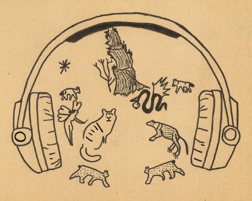 Sylves radiofauniques