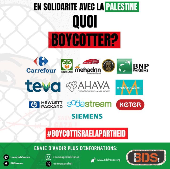 Les Femmes Ont de la Voix ! #44 - Le boycott, une arme puissante au service de la cause palestinienne episode artwork