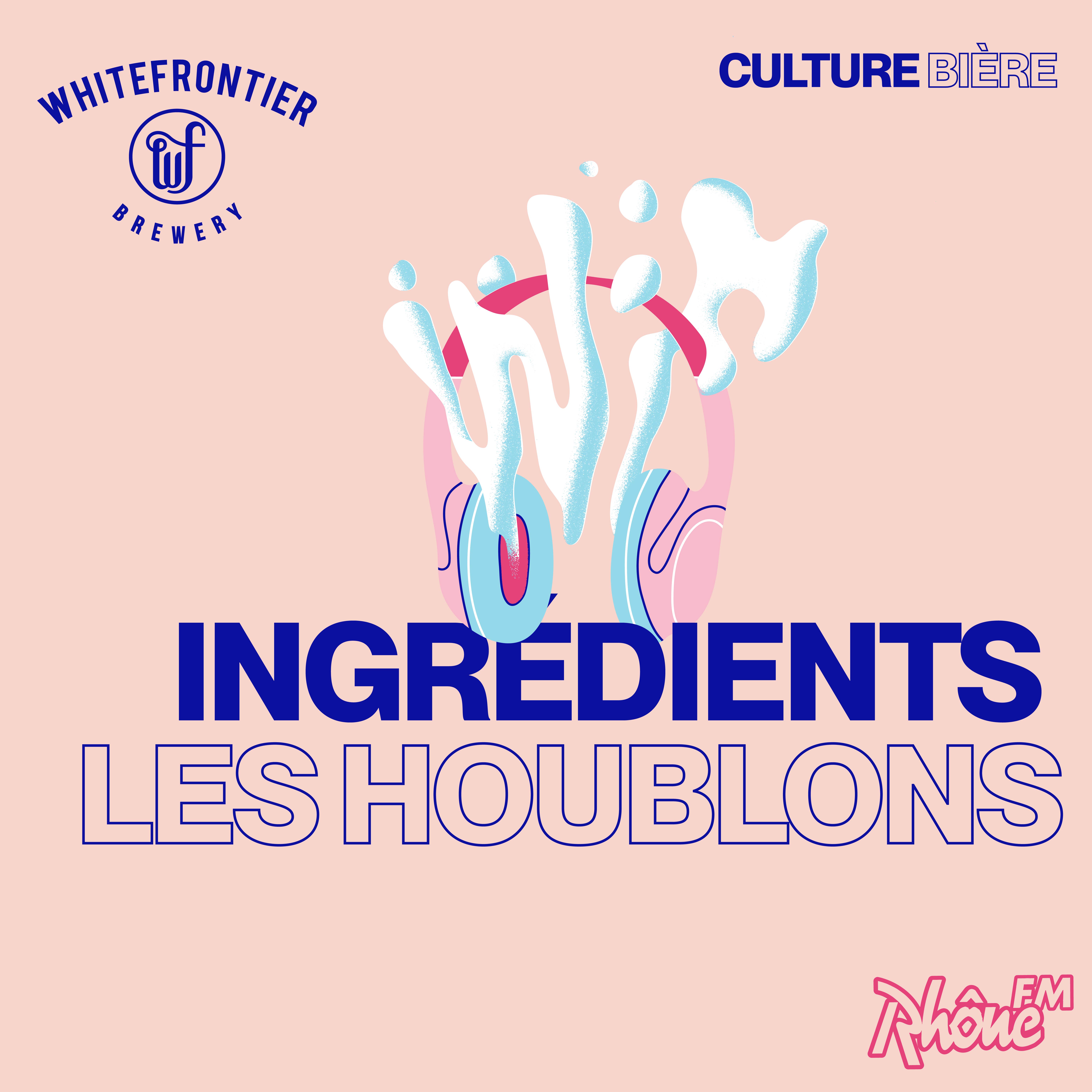 #16 Tout savoir sur les houblons episode artwork