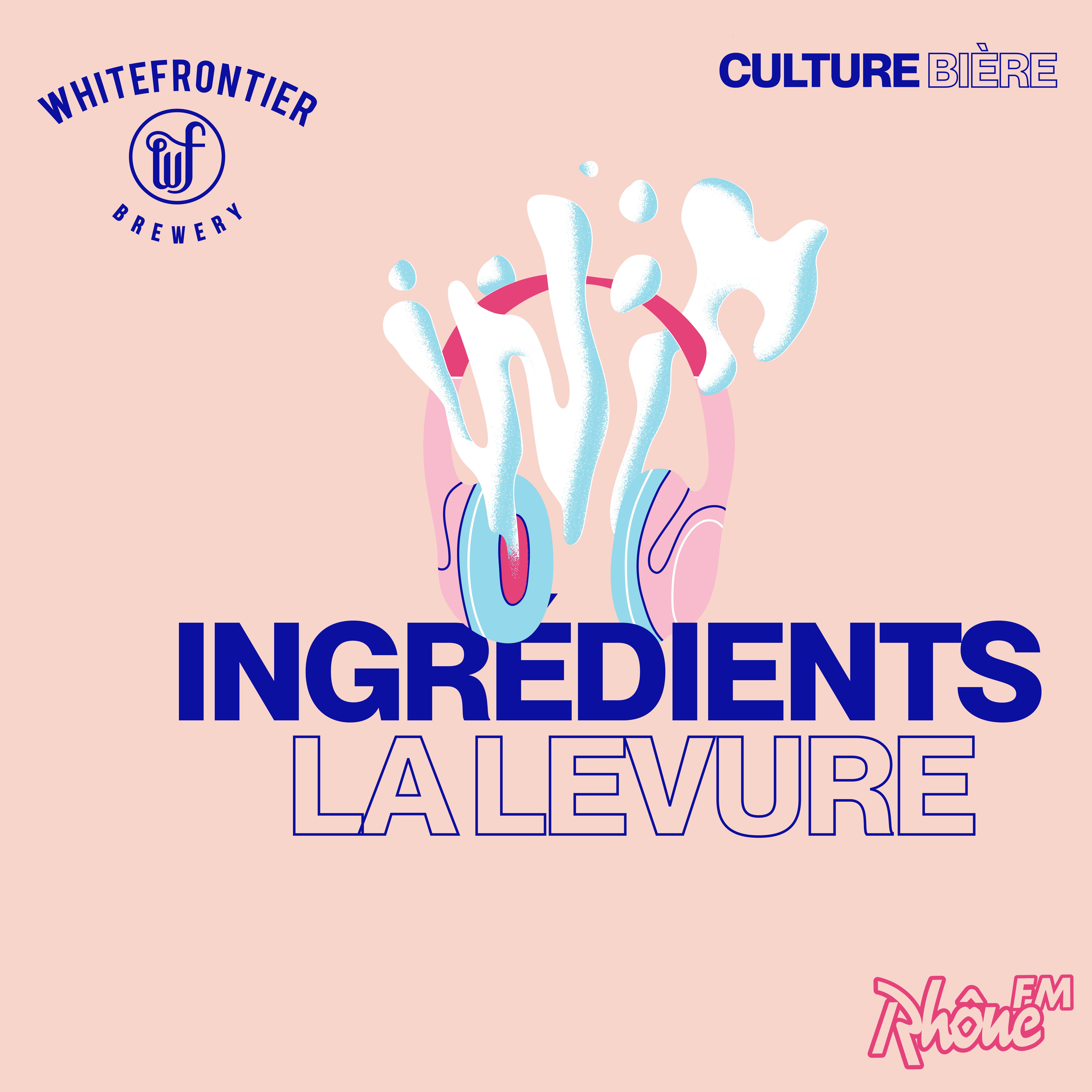 #19 Tout savoir sur les levures de bière episode artwork