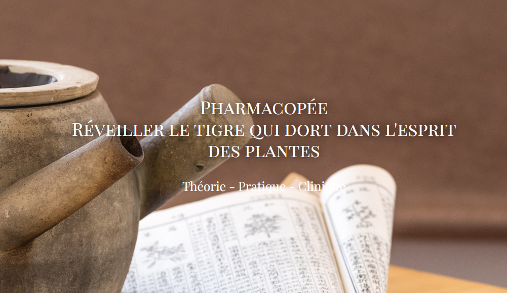 Apprendre la pharmacopée à Chuzhen by Pascal