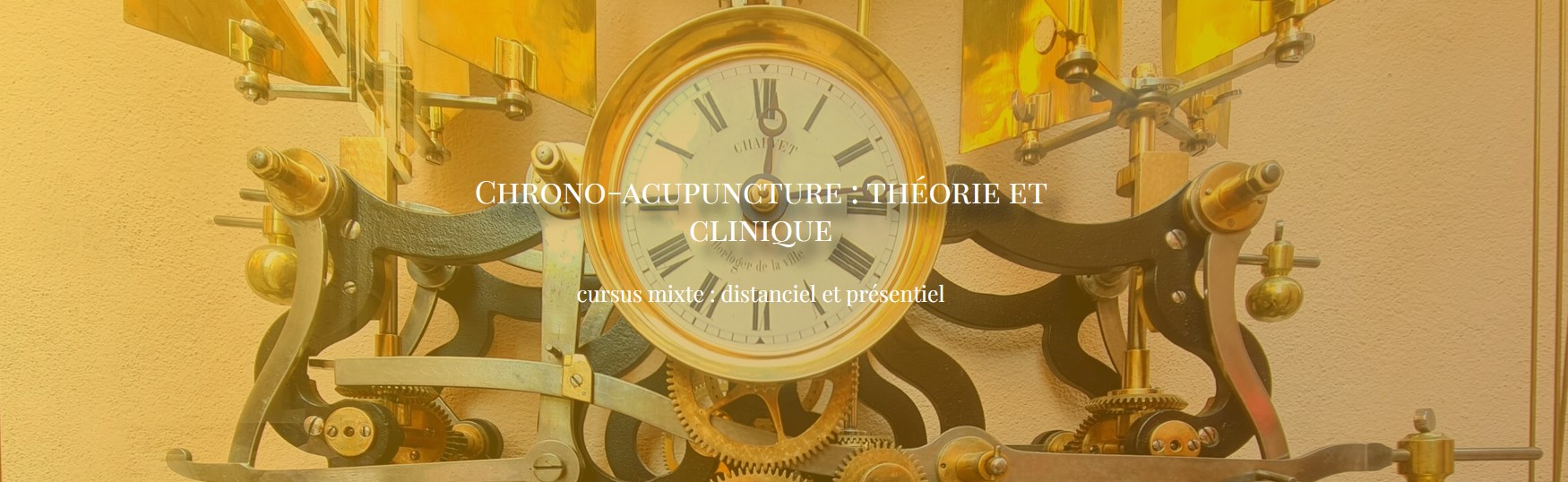 Apprendre la Médecine Chinoise @Chuzhen