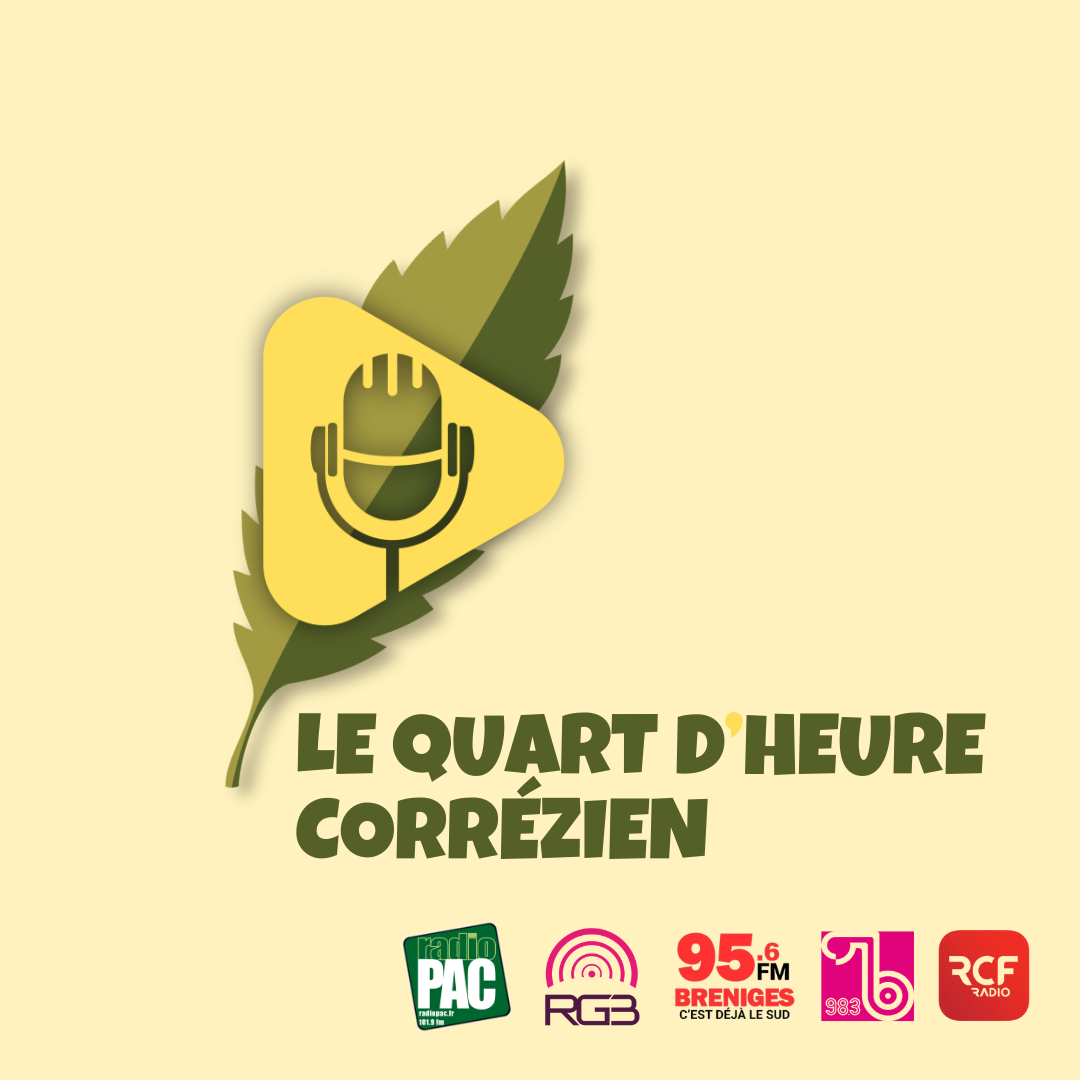 SOCIAL 5 - Julie, victime de violences, aujourd'hui en reconstruction episode artwork