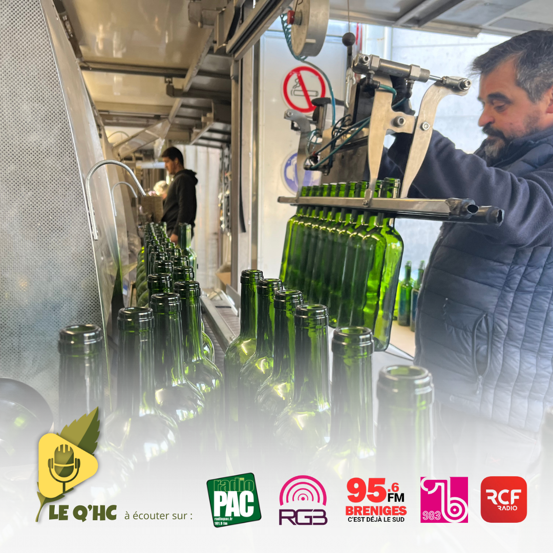 AGRICULTURE 6 - Mise en bouteille du vin, ou la fin du travail d'une année episode artwork