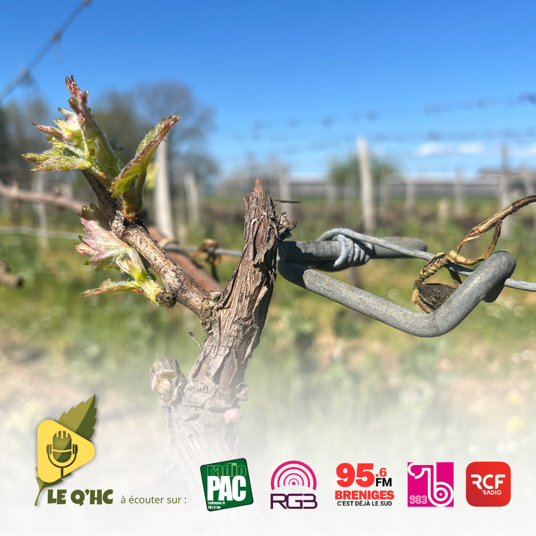 AGRICULTURE 8 - Quand le printemps arrive, le stress monte episode artwork