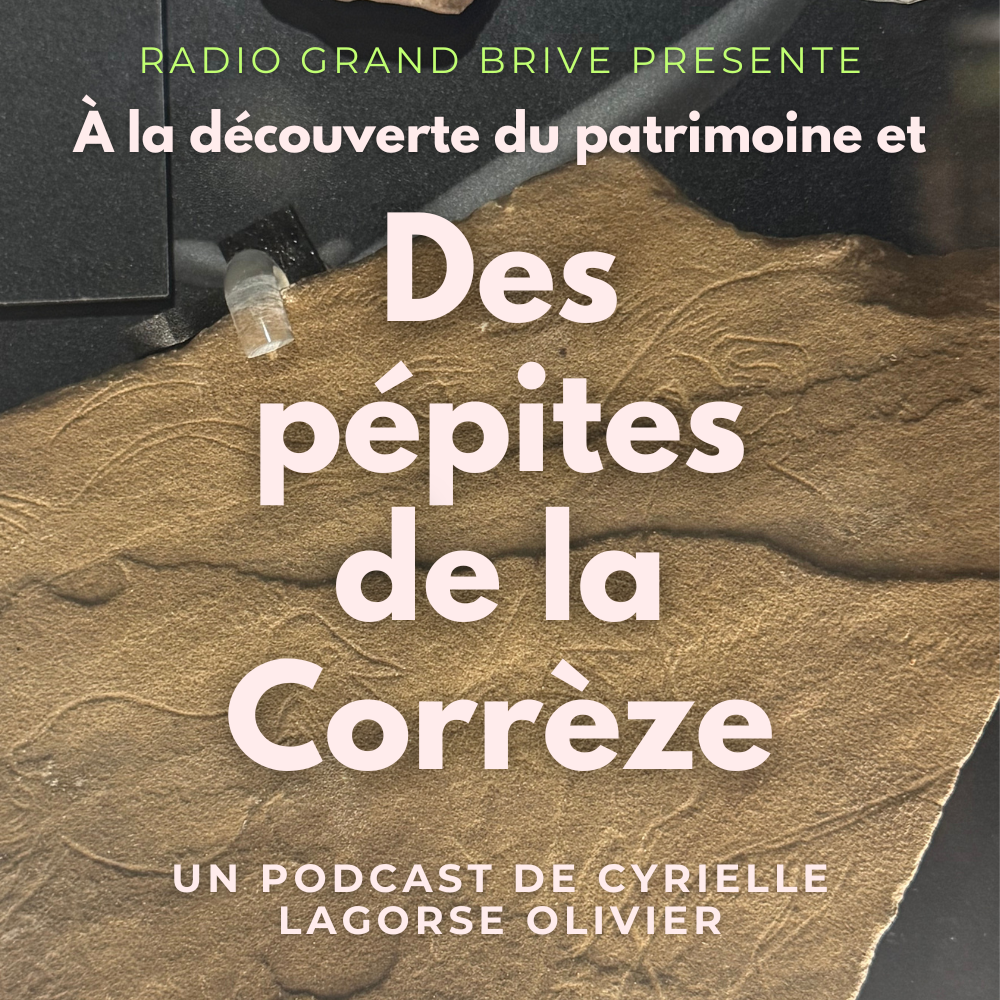 Les abîmes de la Fage - Épisode 6 episode artwork