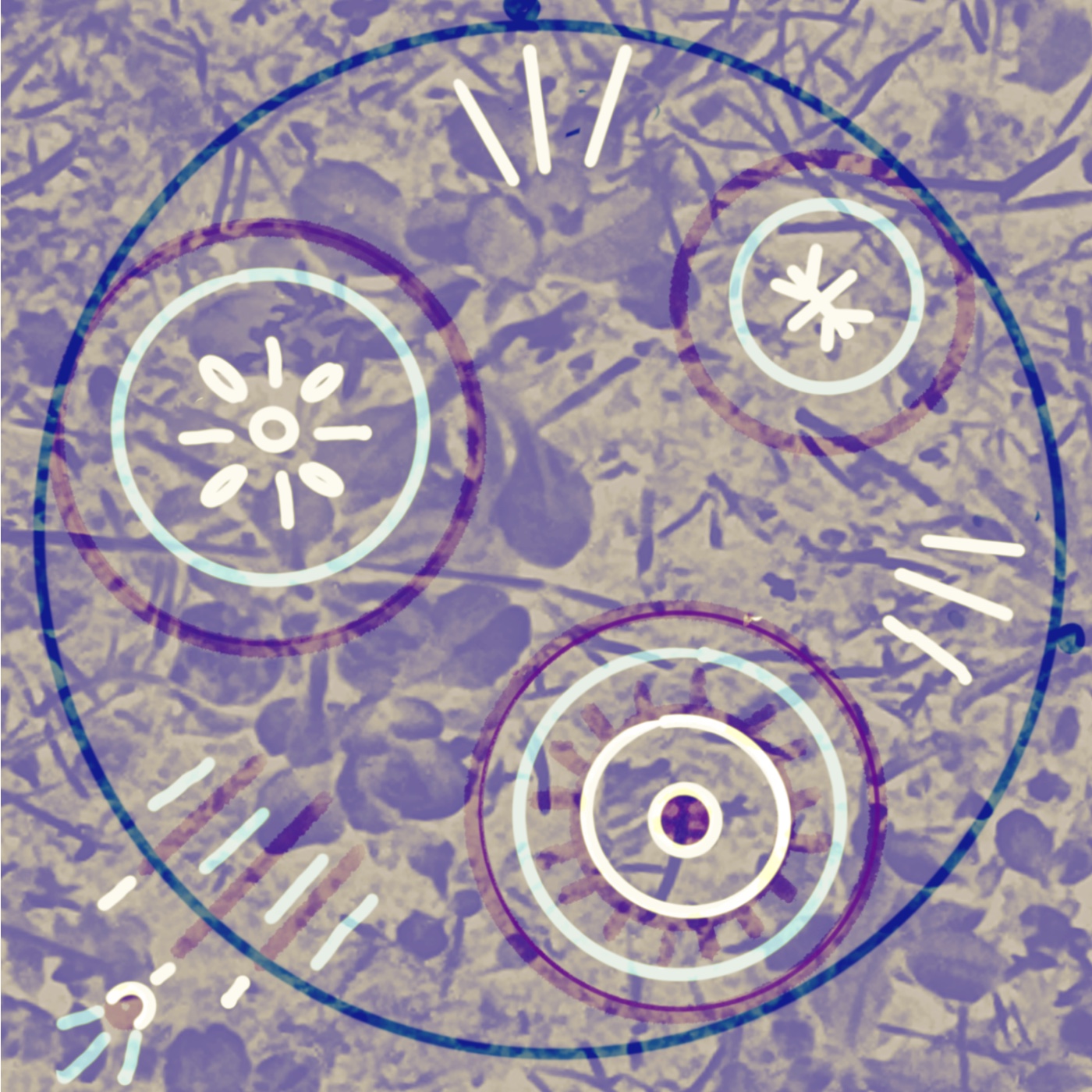 Marche 7 episode artwork