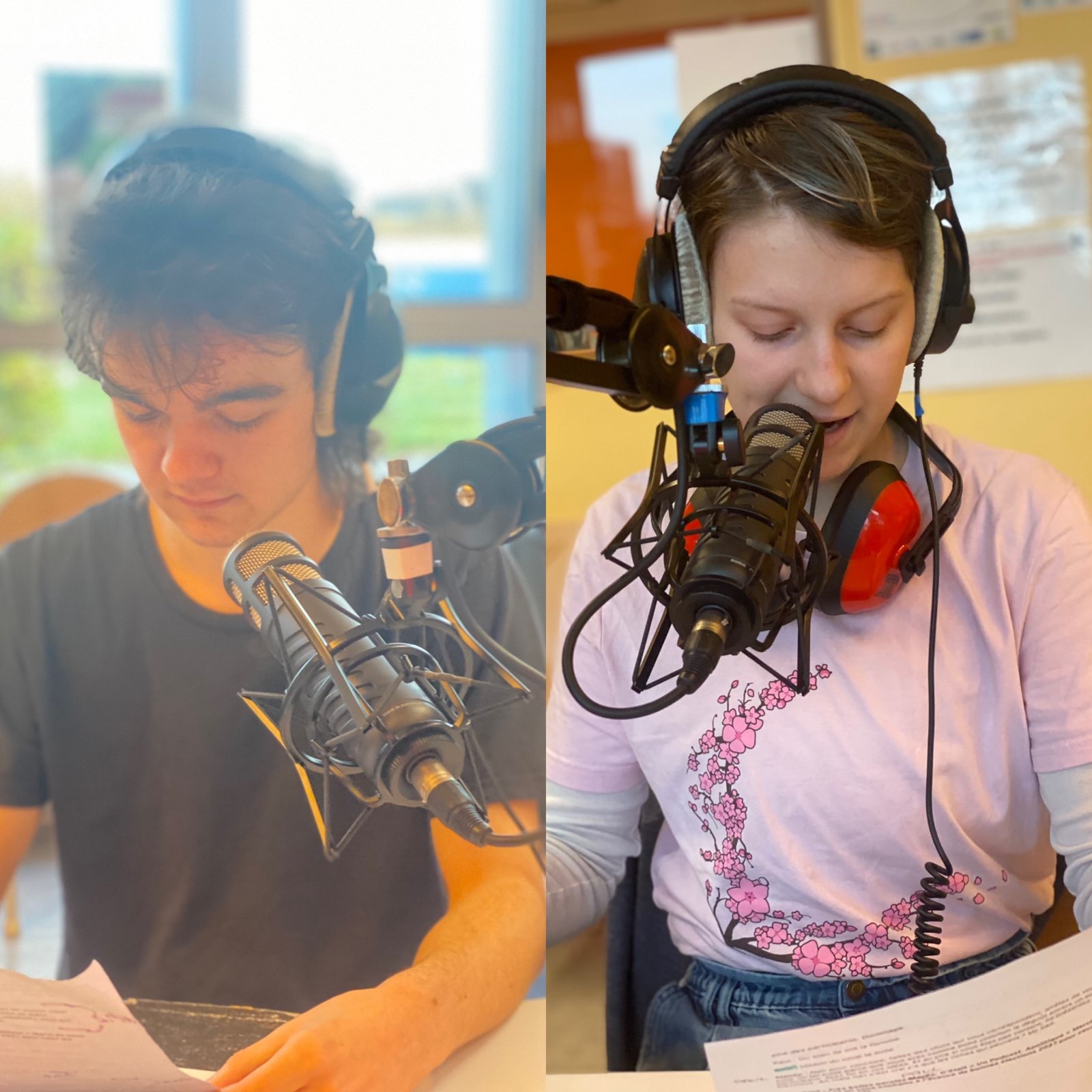 Système électoral episode artwork