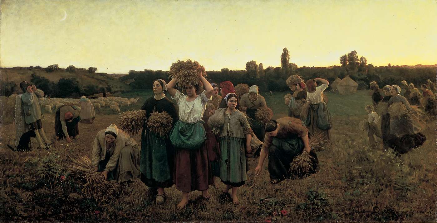 le chant des meutes